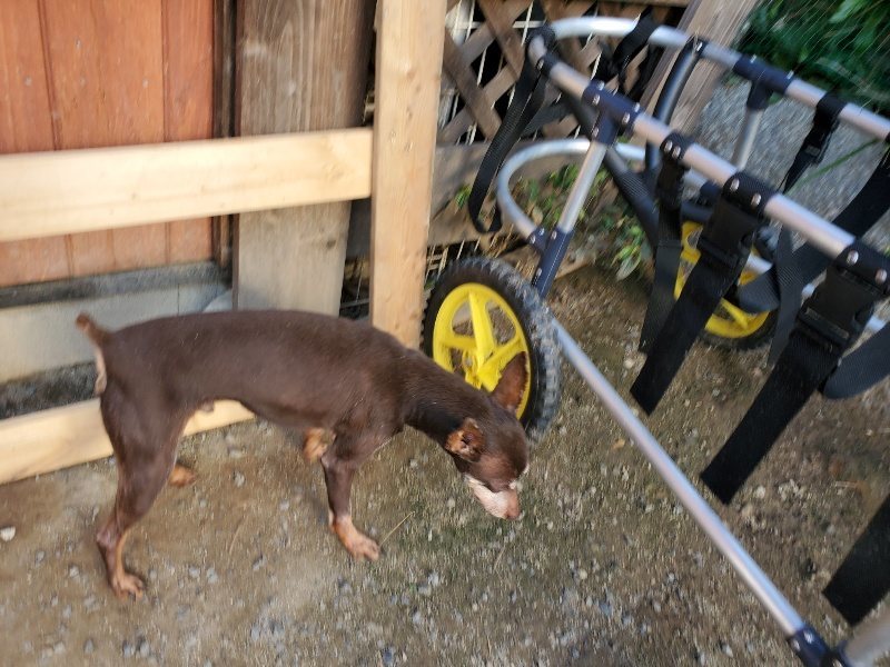 f:id:roukenhome-ann:20190917084949j:plain