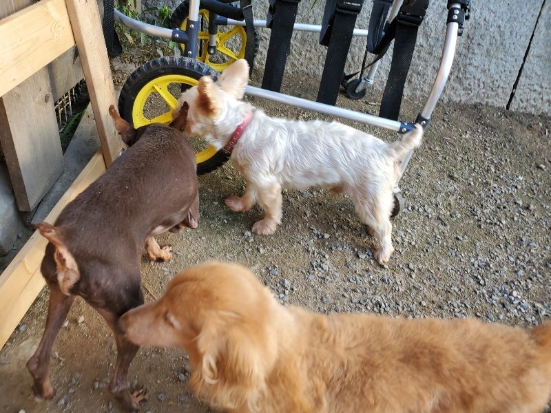 f:id:roukenhome-ann:20190917085000j:plain