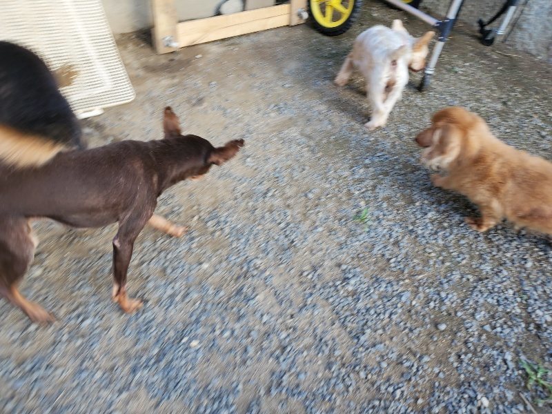 f:id:roukenhome-ann:20190917085007j:plain