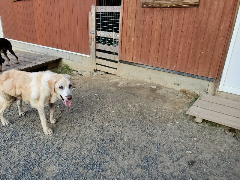 f:id:roukenhome-ann:20190917085012j:plain