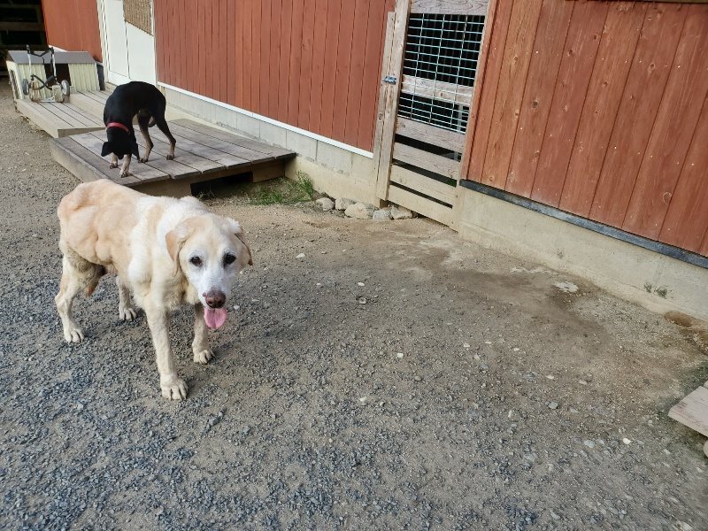 f:id:roukenhome-ann:20190917085017j:plain