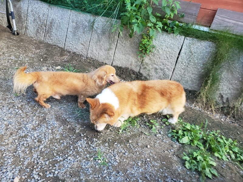 f:id:roukenhome-ann:20190917085023j:plain