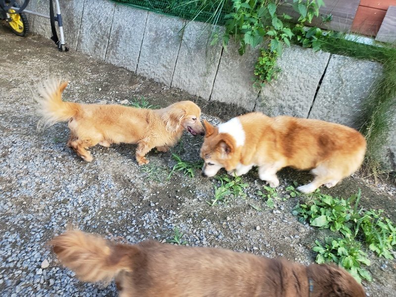 f:id:roukenhome-ann:20190917085030j:plain