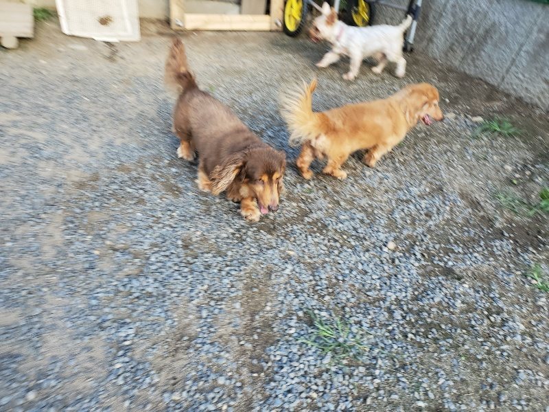 f:id:roukenhome-ann:20190917085035j:plain