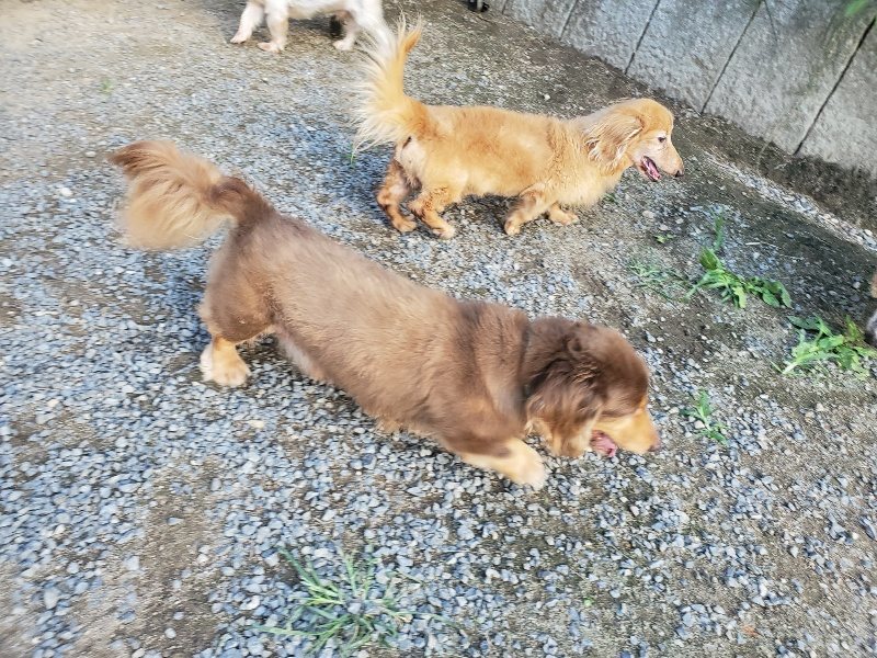 f:id:roukenhome-ann:20190917085041j:plain