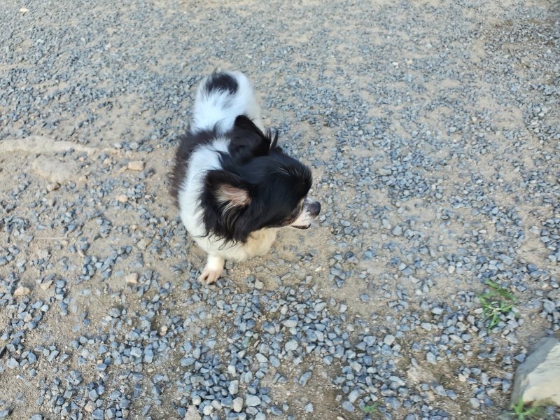 f:id:roukenhome-ann:20190917085053j:plain