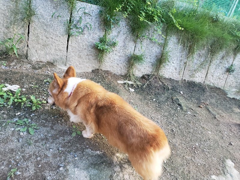 f:id:roukenhome-ann:20190917085116j:plain