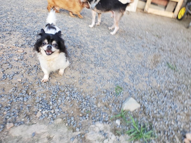 f:id:roukenhome-ann:20190917085121j:plain