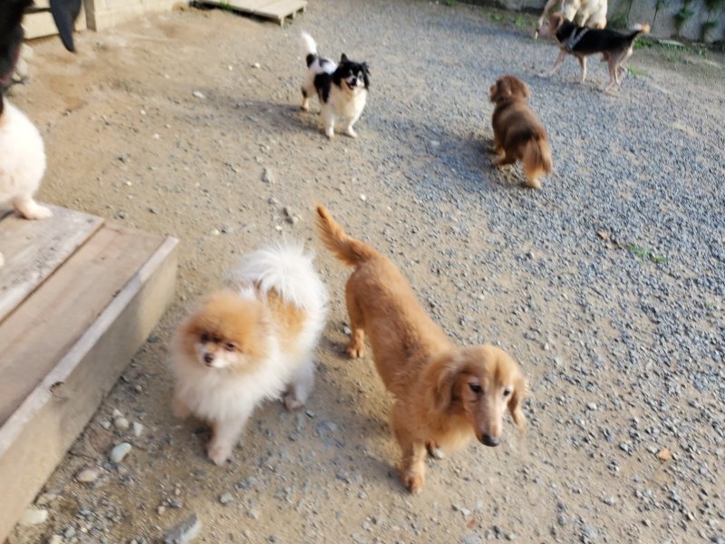 f:id:roukenhome-ann:20190917085207j:plain