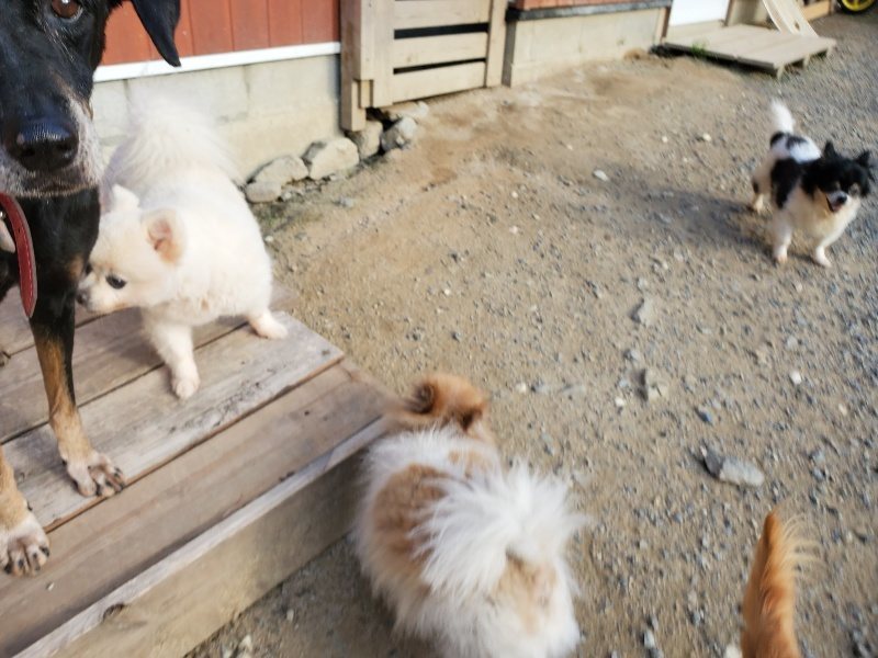 f:id:roukenhome-ann:20190917085212j:plain