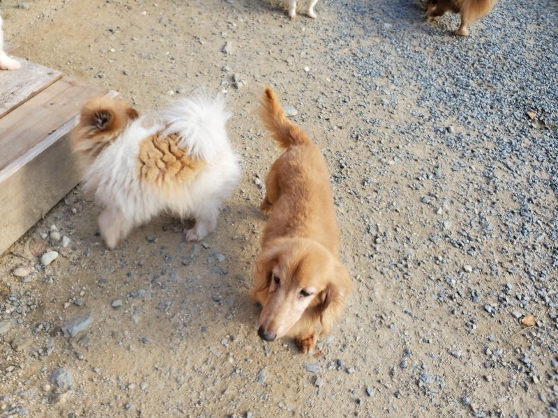f:id:roukenhome-ann:20190917085217j:plain