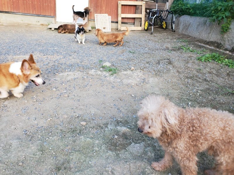 f:id:roukenhome-ann:20190917085223j:plain