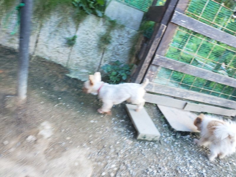 f:id:roukenhome-ann:20190917085227j:plain