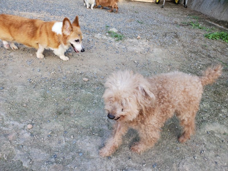 f:id:roukenhome-ann:20190917085232j:plain