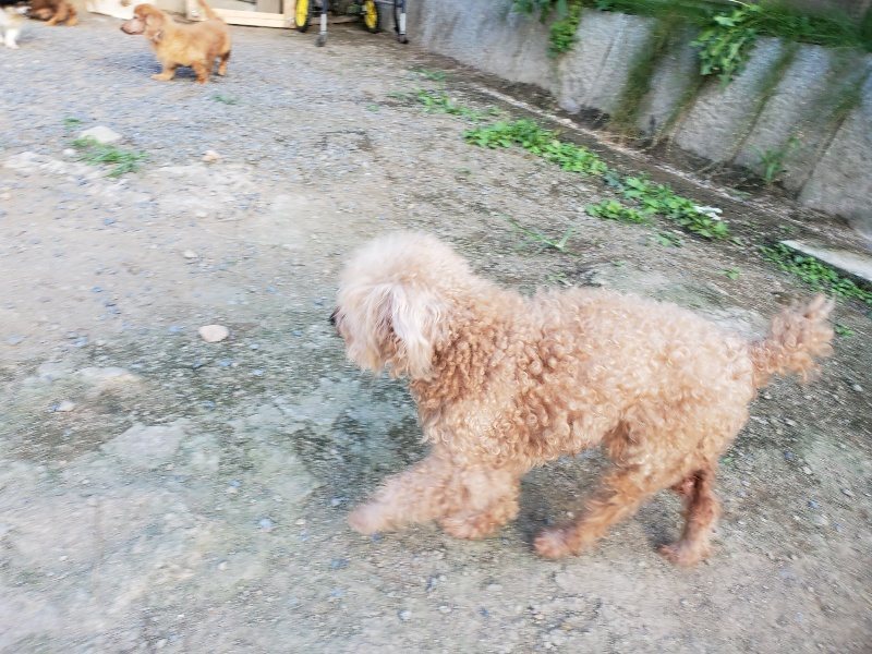 f:id:roukenhome-ann:20190917085236j:plain