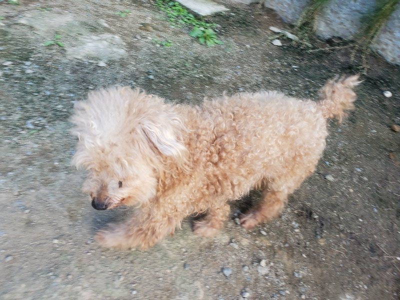 f:id:roukenhome-ann:20190917085241j:plain