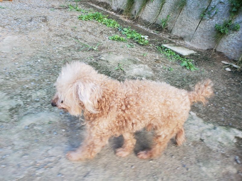 f:id:roukenhome-ann:20190917085246j:plain