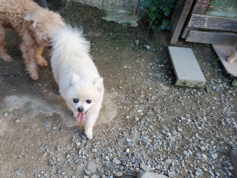 f:id:roukenhome-ann:20190917085255j:plain
