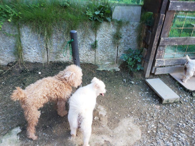 f:id:roukenhome-ann:20190917085301j:plain