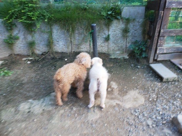 f:id:roukenhome-ann:20190917085305j:plain