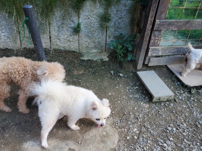 f:id:roukenhome-ann:20190917085310j:plain