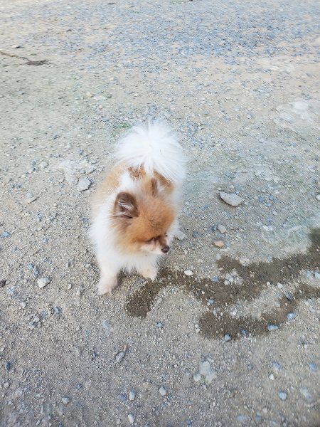 f:id:roukenhome-ann:20190917085314j:plain