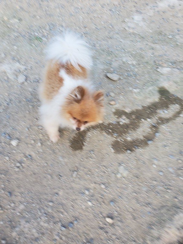 f:id:roukenhome-ann:20190917085319j:plain