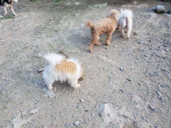 f:id:roukenhome-ann:20190917085323j:plain