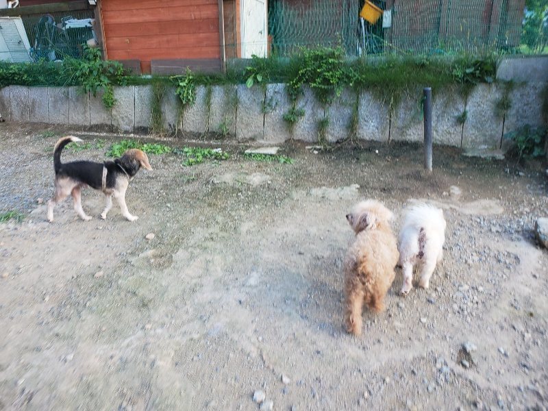 f:id:roukenhome-ann:20190917085328j:plain