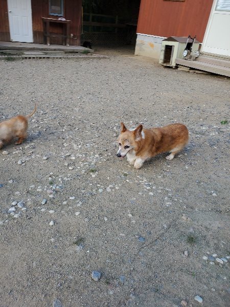 f:id:roukenhome-ann:20190917085332j:plain