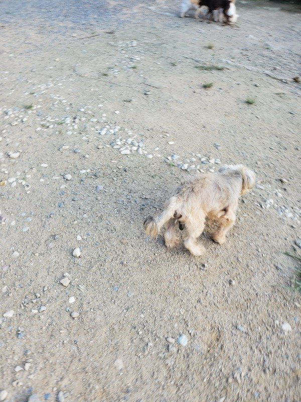 f:id:roukenhome-ann:20190917085356j:plain