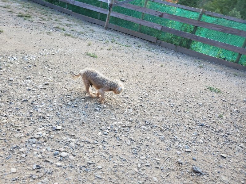 f:id:roukenhome-ann:20190917085416j:plain