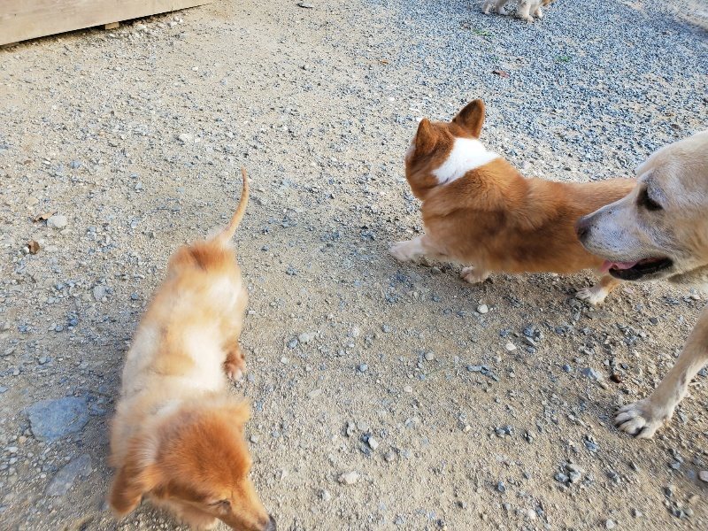f:id:roukenhome-ann:20190917085422j:plain