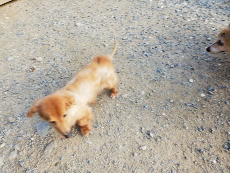f:id:roukenhome-ann:20190917085428j:plain