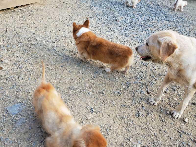 f:id:roukenhome-ann:20190917085434j:plain