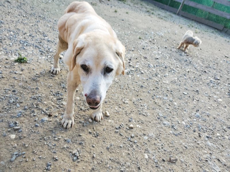 f:id:roukenhome-ann:20190917085456j:plain