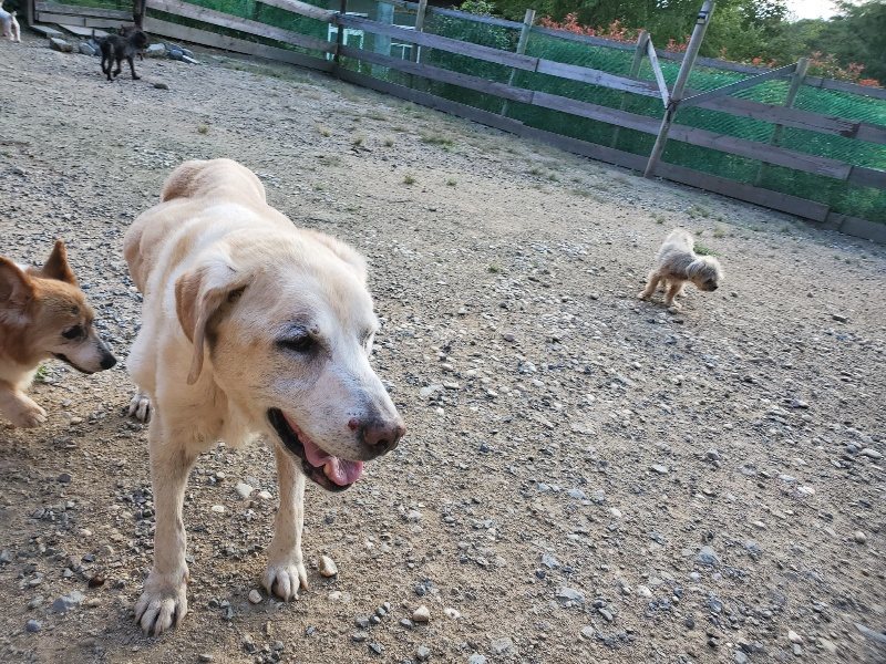 f:id:roukenhome-ann:20190917085502j:plain