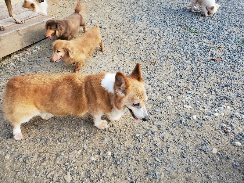 f:id:roukenhome-ann:20190917085527j:plain