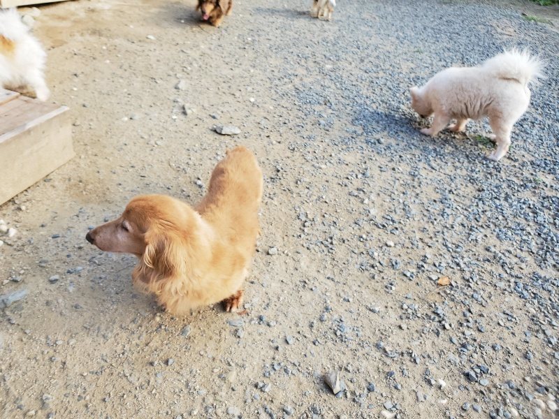 f:id:roukenhome-ann:20190917085533j:plain