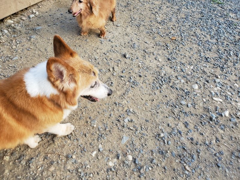 f:id:roukenhome-ann:20190917085540j:plain