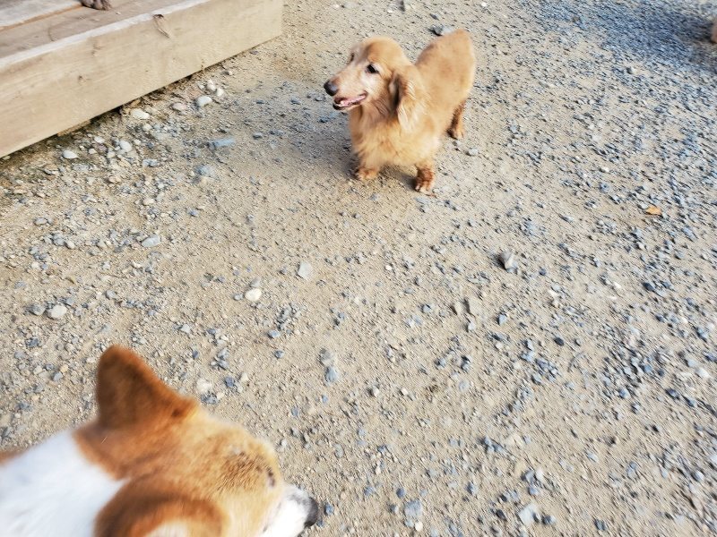 f:id:roukenhome-ann:20190917085546j:plain