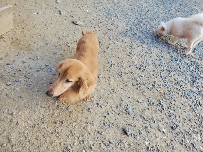 f:id:roukenhome-ann:20190917085552j:plain