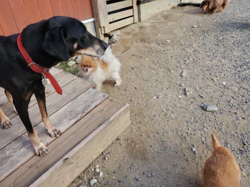 f:id:roukenhome-ann:20190917085556j:plain