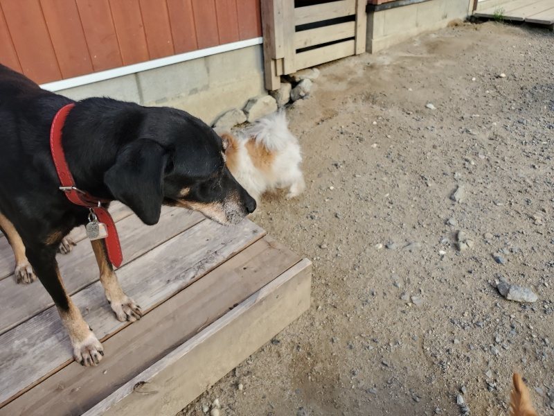 f:id:roukenhome-ann:20190917085606j:plain
