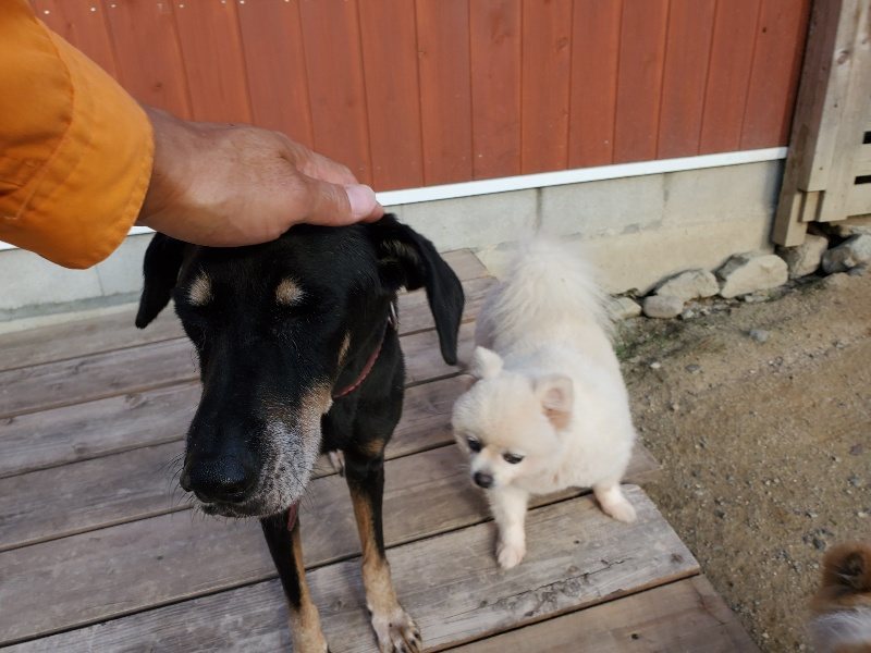 f:id:roukenhome-ann:20190917085610j:plain