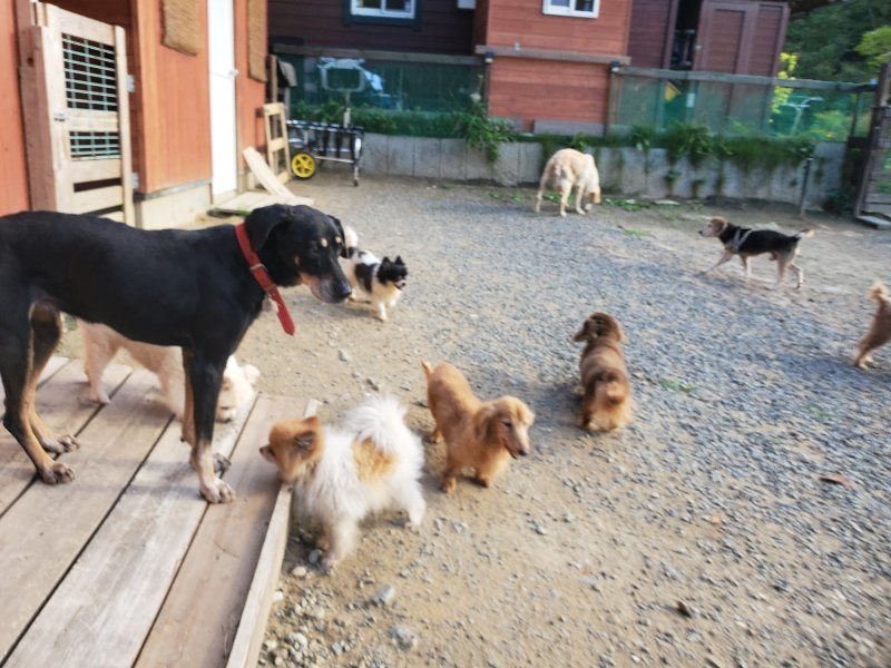 f:id:roukenhome-ann:20190917105553j:plain