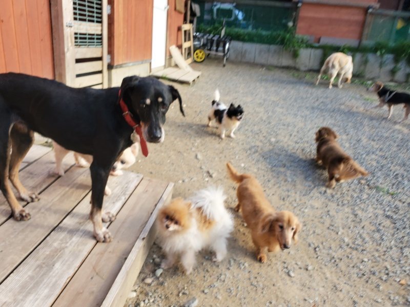 f:id:roukenhome-ann:20190917105559j:plain