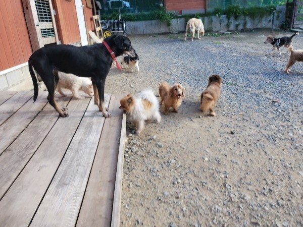 f:id:roukenhome-ann:20190917105603j:plain