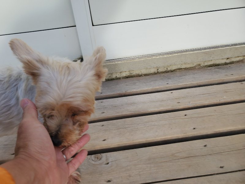 f:id:roukenhome-ann:20190917105624j:plain