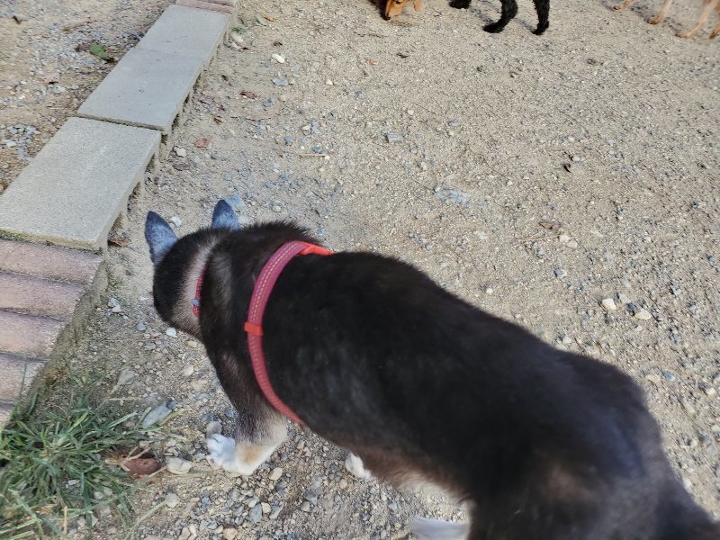 f:id:roukenhome-ann:20190917105709j:plain